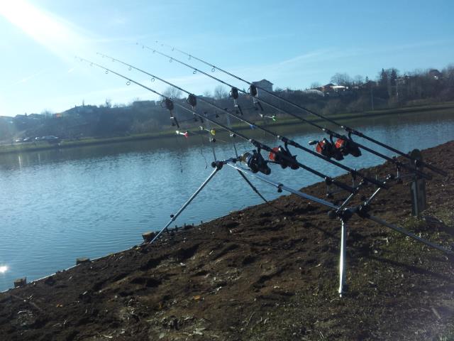 Floarea Popestiului 11 - 11 ian. - 20140111112119.jpg